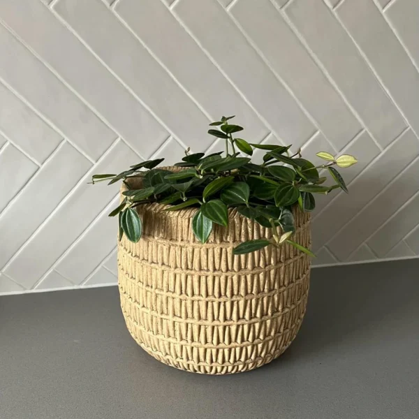 Weave-keramische-bloempot-L-1 Keramische Weave pot L