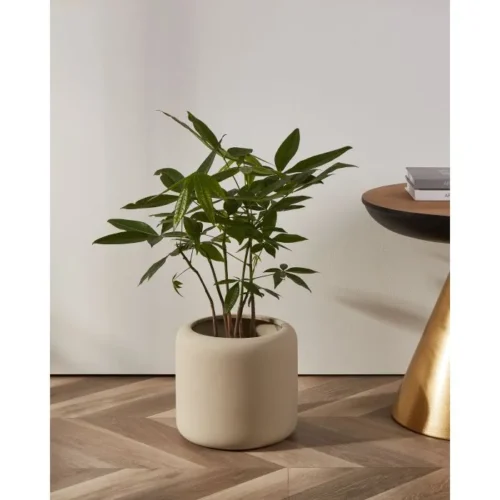 Grote beige bloempot